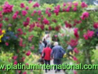 The Perfect Toowoomba Accommodation Just Around the Corner