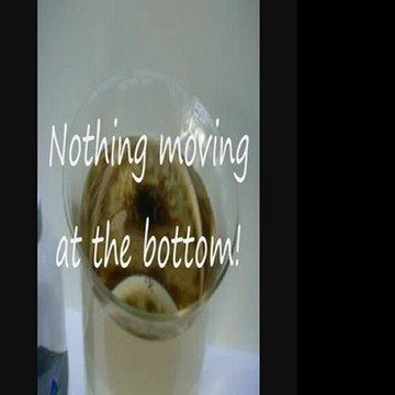 Colloidal Silver kills Parasites & Fungus