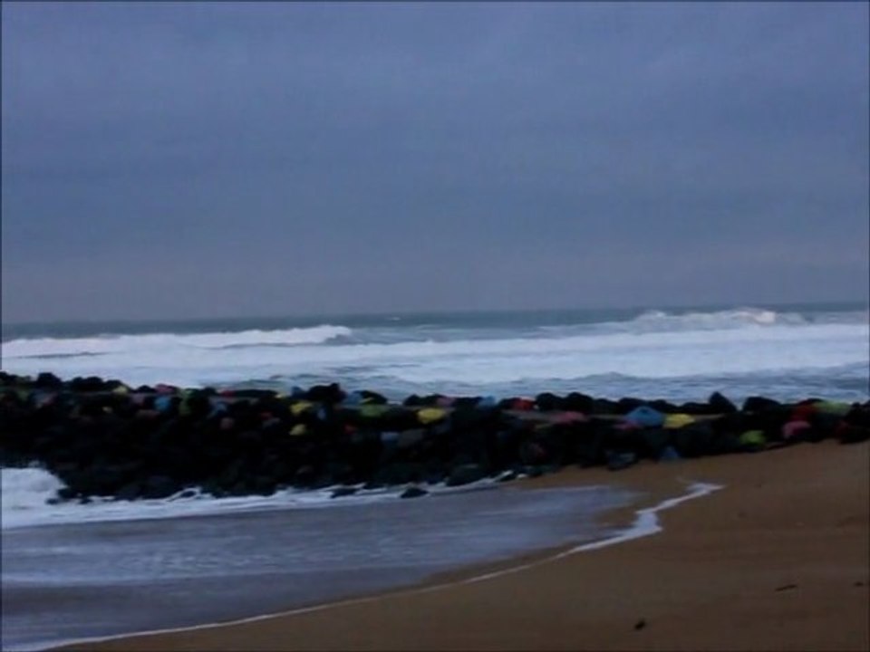 surf report du matin