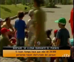 Más de 20.000 personas han aprovechado el puente para visitar Bioparc Valencia