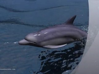 DEJENNME SI ESTOY LLORANDO