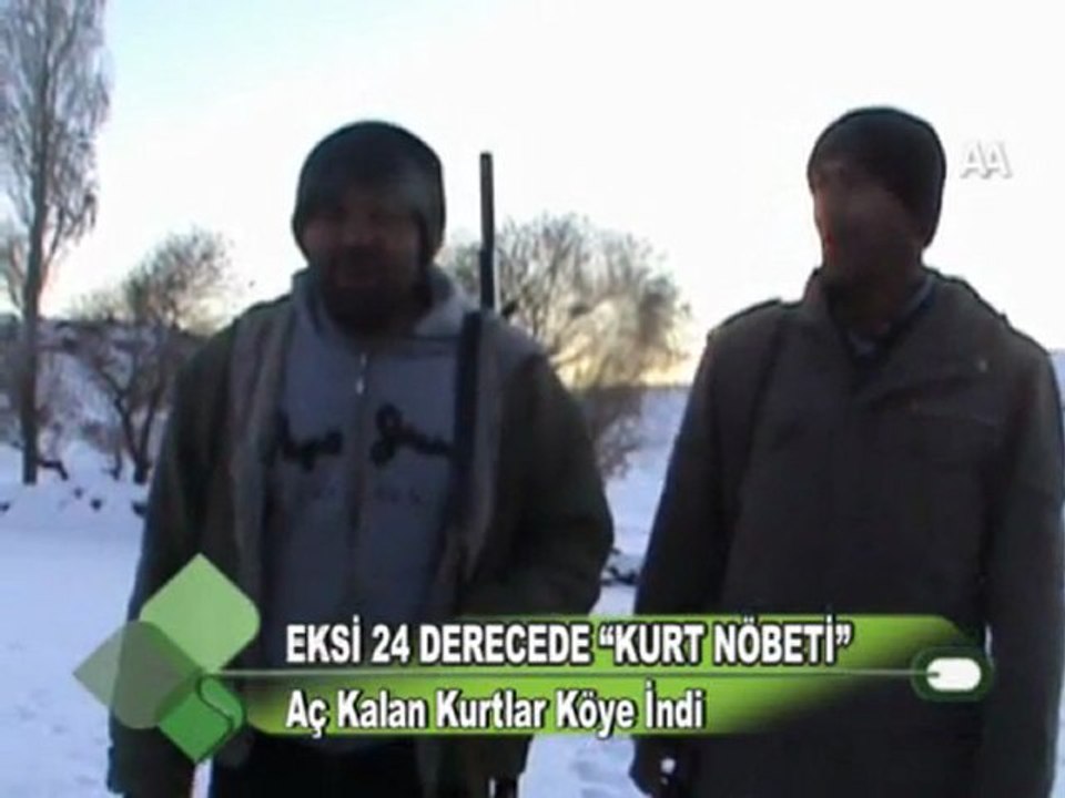 EKSİ 24 DERECEDE KURT NÖBETİ 13.12.2011