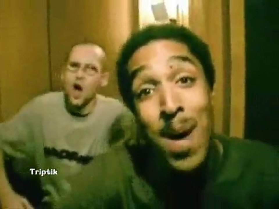 Triptik - Freestyle