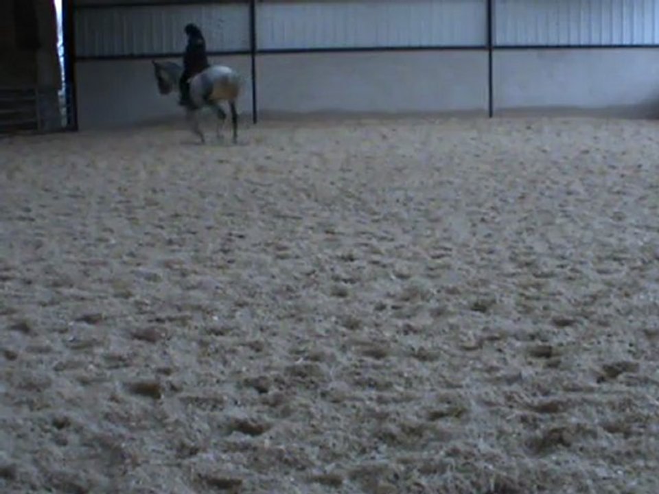 M2U01111 appuyer au galop G