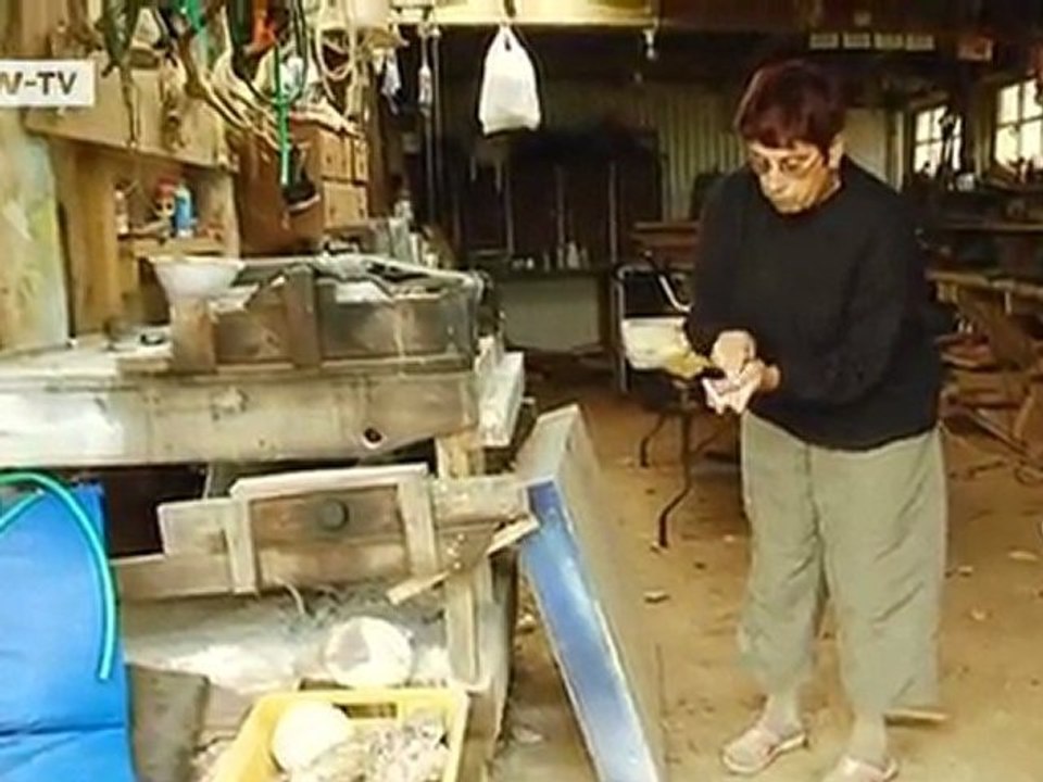 Questionnaire: Melda Holdster from New Zealand | Global 3000