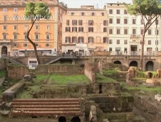 Итальянский кот унаследовал 10 миллионов евро