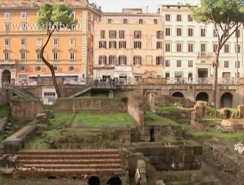 Итальянский кот унаследовал 10 миллионов евро