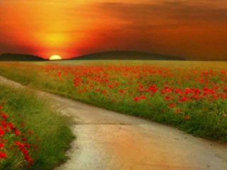 A.W. Pink - Too Wise to Err — And too Loving to be Unkind