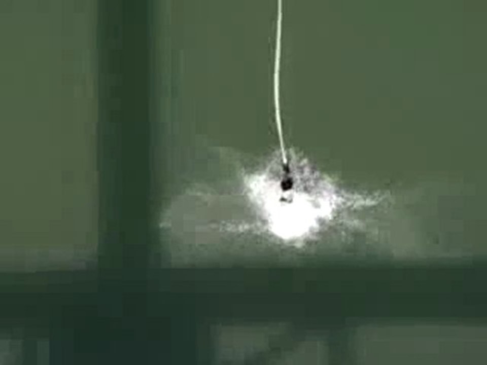 0460 - Saut à l'élastique...la tête dans l'eau