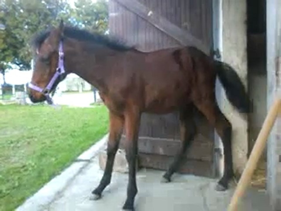 Vidéo0027