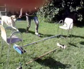 c'est mon chien et moi !!