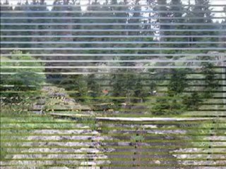 Yar gelmezse gelsin ölüm