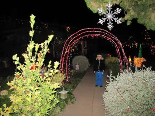 Candy Cane Lane Christmas Houses
