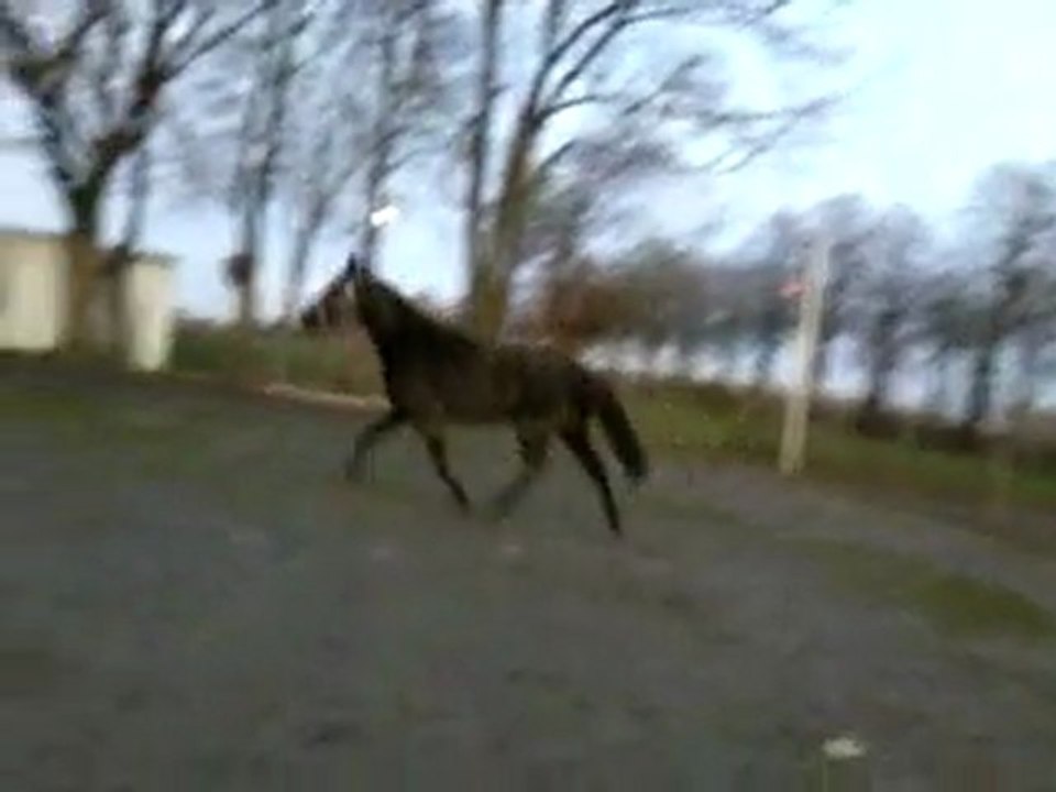 Vidéo0032