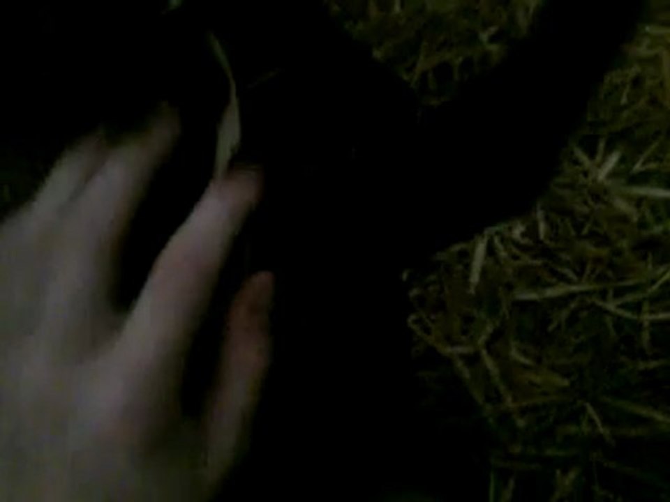Vidéo0020