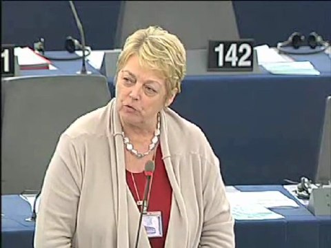 Annemie Neyts-Uyttebroeck on European neighbourhood policy