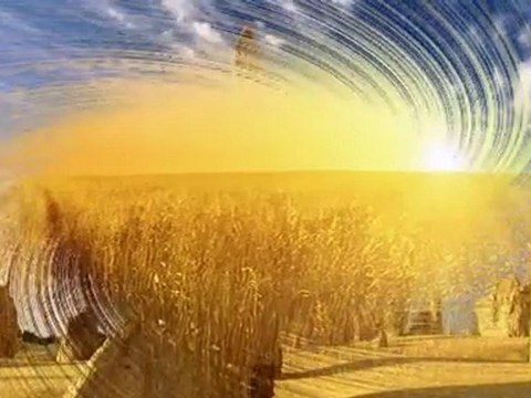 Звёздная Встреча