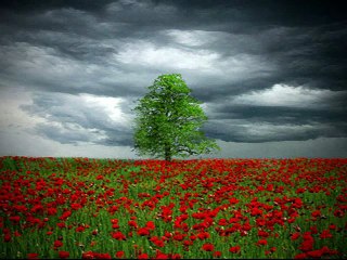 James Smith - The Time has Come for my Departure