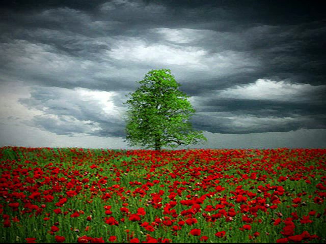 ⁣James Smith - The Time has Come for my Departure