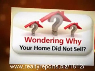 Brampton Financial Services