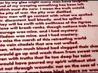 Poppy Appeal T-shirts