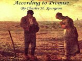 Charles Spurgeon - According to Promise: Differing Hopes (4 of 20)