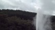 Rotorua :  Lady Knox geyser