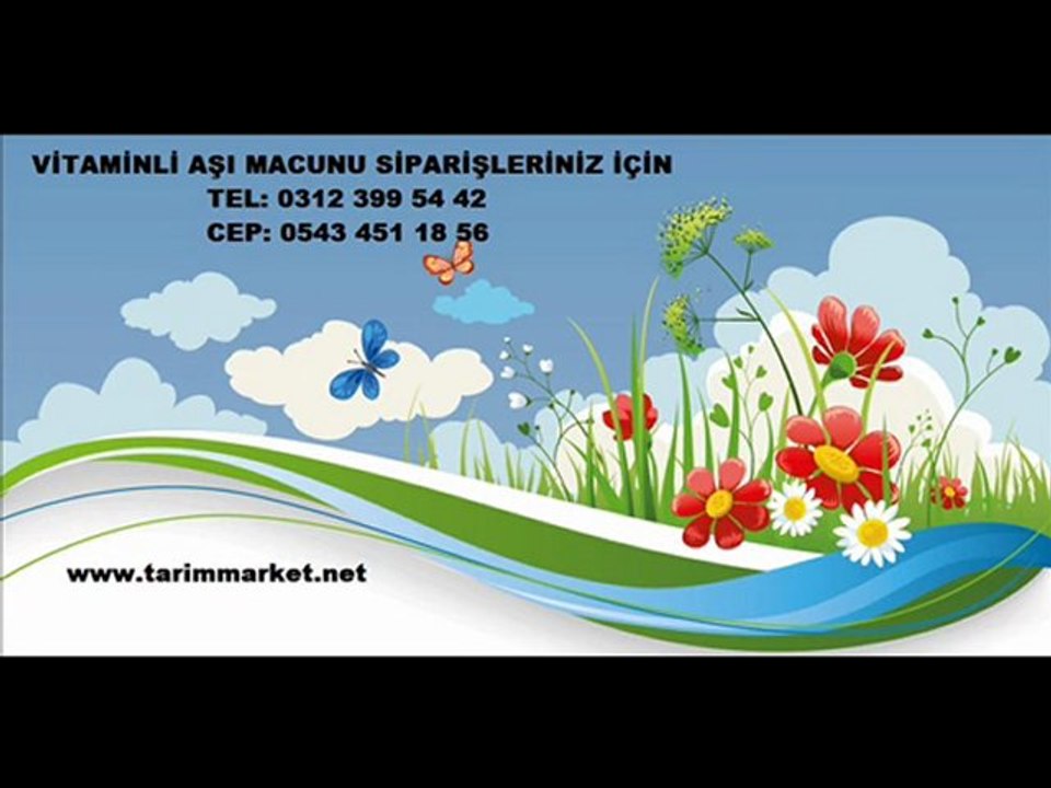 AŞI MACUNU,aşı-macunu,aşı macunu fiyatı