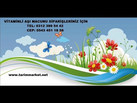 AŞI MACUNU,aşı-macunu,aşı macunu fiyatı