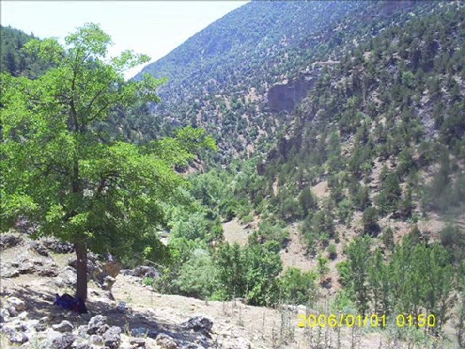 Muhsin Tozlu - Yeşil Ayna Takındınmı Beline - 19