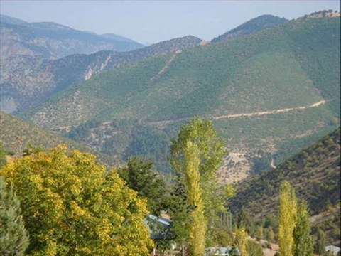 Muhsin Tozlu - Değirmenden Geldim Beygirim Yüklü - 17