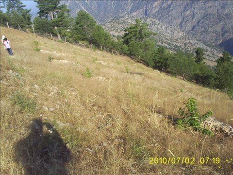 Muhsin Tozlu - Ak Göğsünde Nokta Nokta Ben Olam - 12