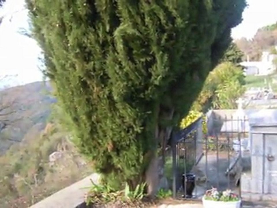 altiani-cimetière1