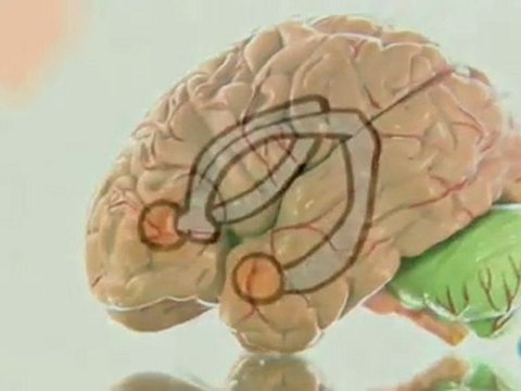 Reconsolidacion de recuerdos traumaticos: Karim Nader