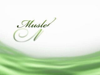Musleh Maood Day