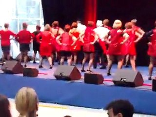 spectacle conseil général 10 12 11 (le  moulin rouge)