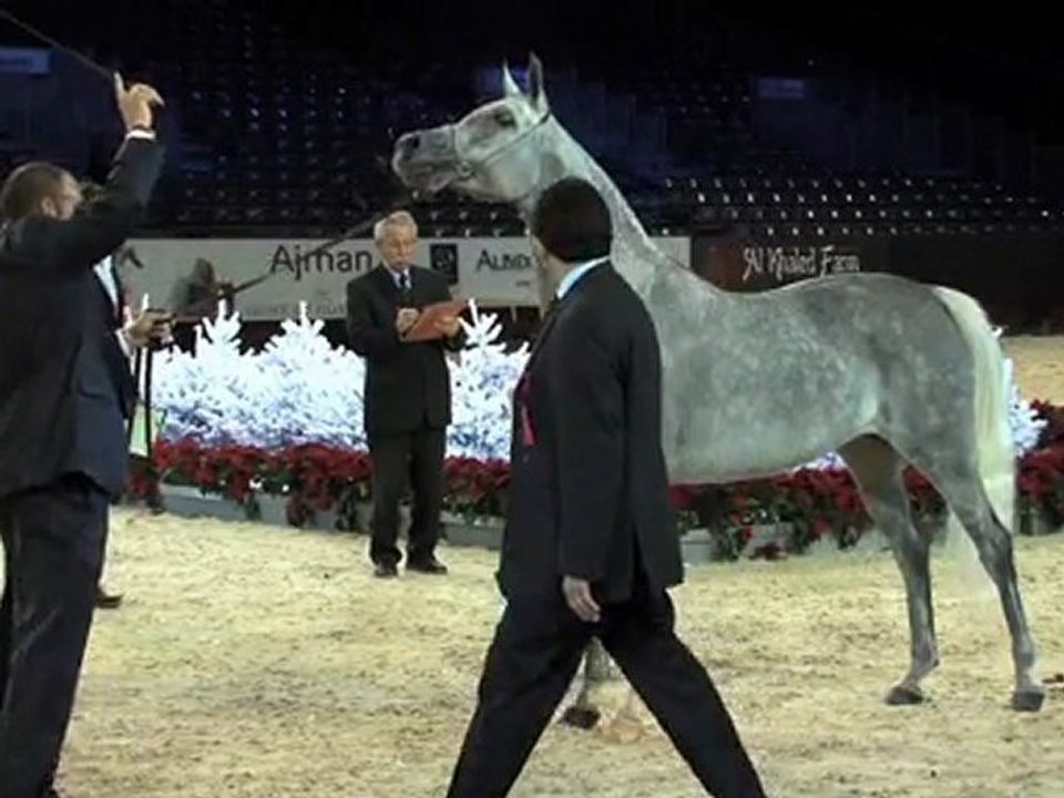 La Culturelle - Championnat du monde du cheval arabe - 7 décembre 2011