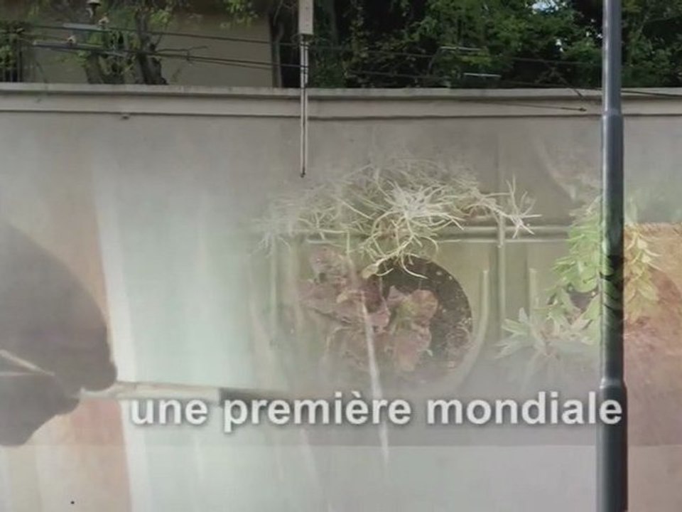 La Fresque Végétale Lumière - CitéCréation - Octobre 2011