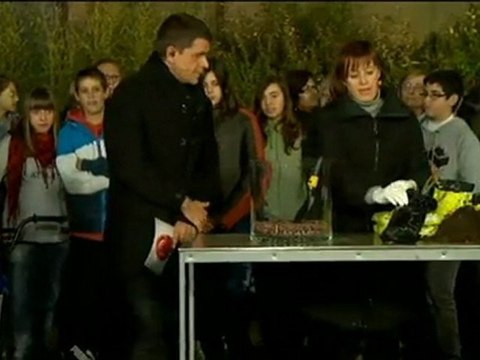 TV3 - Divendres - Sant Feliu de llobregat, ciutat de les roses