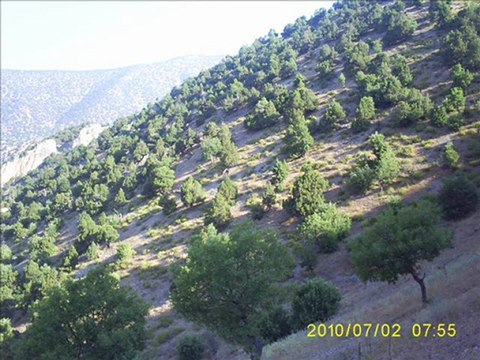 Muhsin Tozlu - Ağlama Gözlerim Mevla Kerimdir - 4