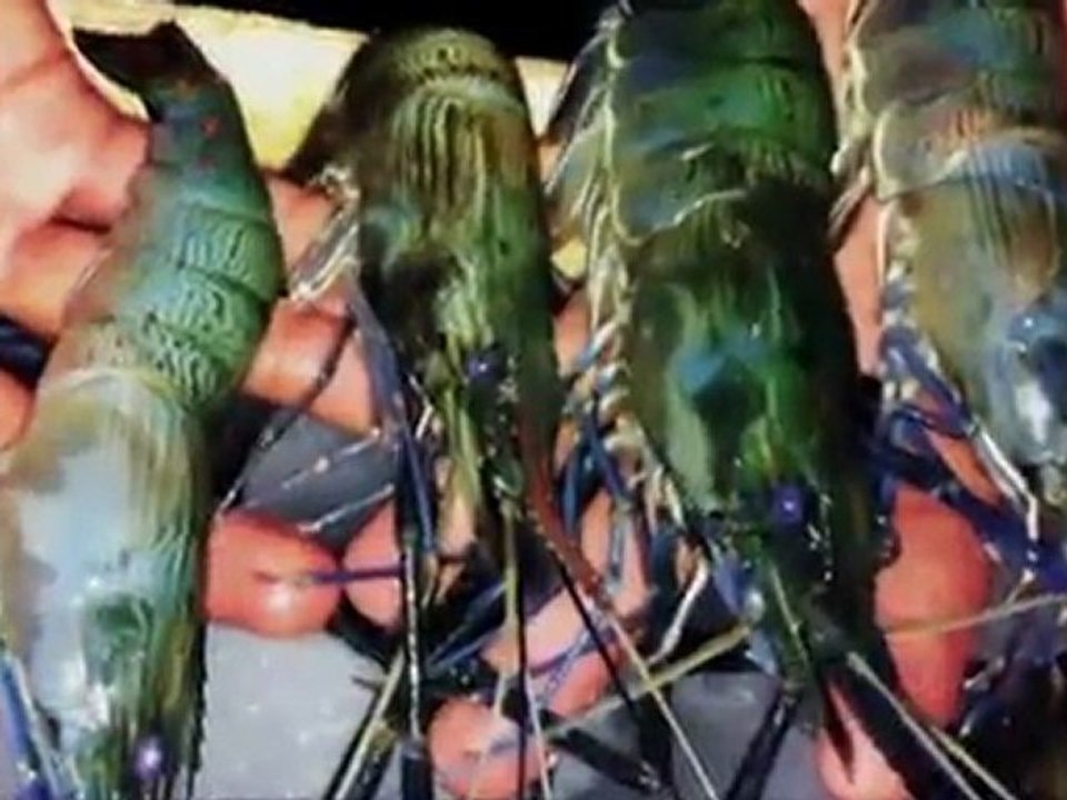 Non-Fiction: "Kalapukan Mudplace "