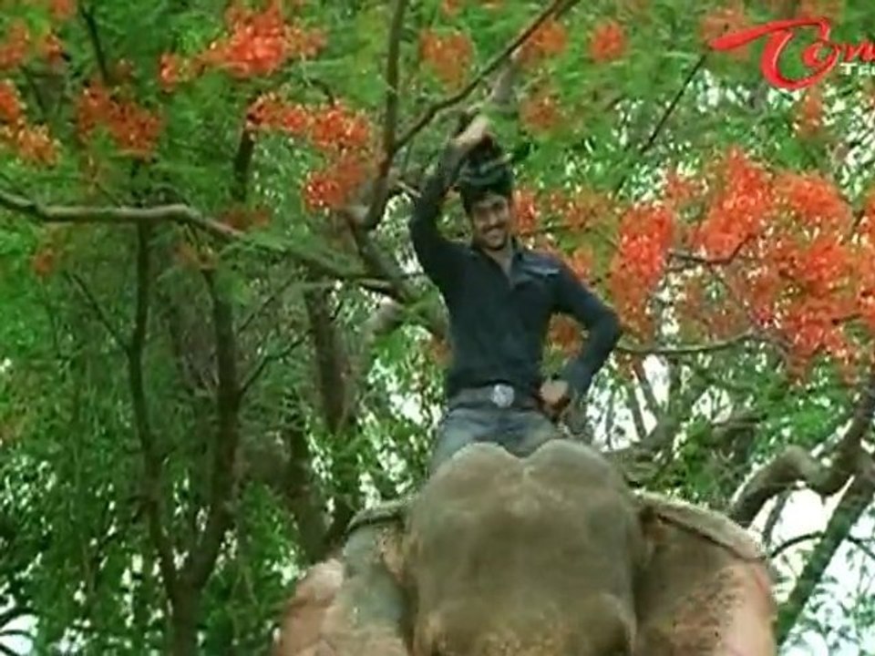 Adavi Ramudu Telugu Songs - Aaresukoboi - Prabhas - Aarthi Agarwal