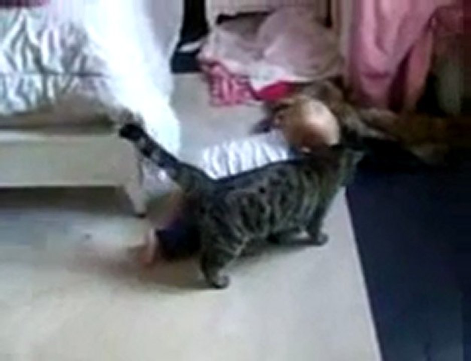 Pour un flirt avec toi...