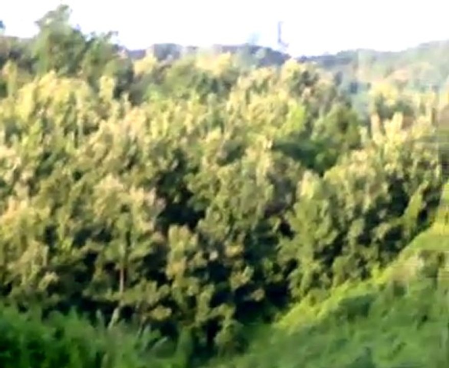 live stream Carson Jones vs Ricardo Williams Jr live boxing HDQD tv sopcast