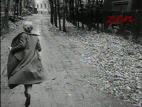 Devendra Banhart - inaniel