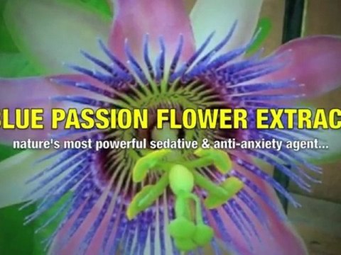 Natural Remedies for ED - Top Supplements for ED You Must Know!