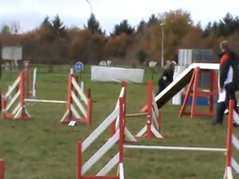 Baïla entrainement Commentry 04 12 2011 agility 1