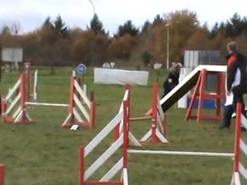 Baïla entrainement Commentry 04 12 2011 agility 1