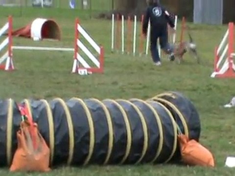 Baïla entrainement Commentry 04 12 2011 agility 2