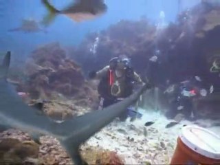 jaws of death - director's cut